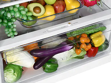 Large Humidity Crisper